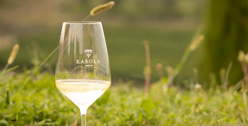 Vinarija Kabola [5]