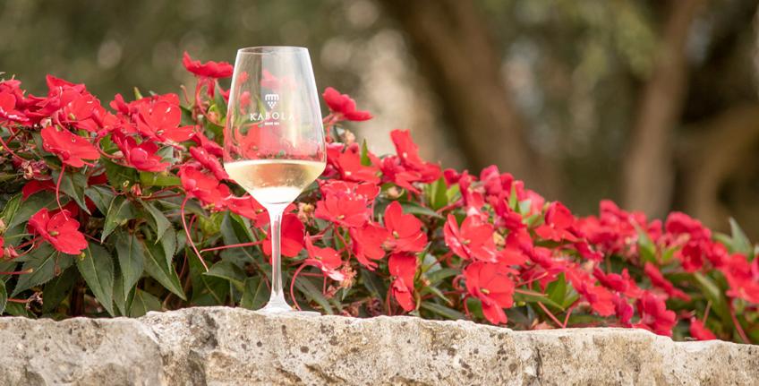 Vinarija Kabola [7]