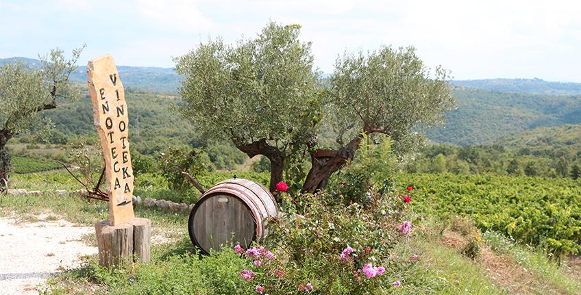 Vinarija Cattunar [4]