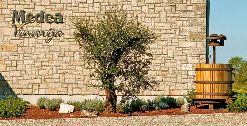 Uljara i proizvođač maslinovog ulja Salvela [3]