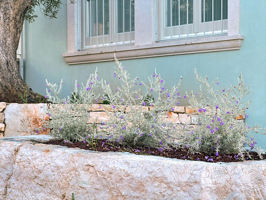 Tandkliniek Vallis Dent, Bale [5]