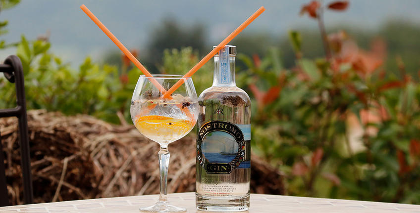 Jednodnevni izleti po Istri [3]