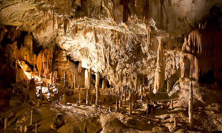 Postojna Cave Postojna Cave