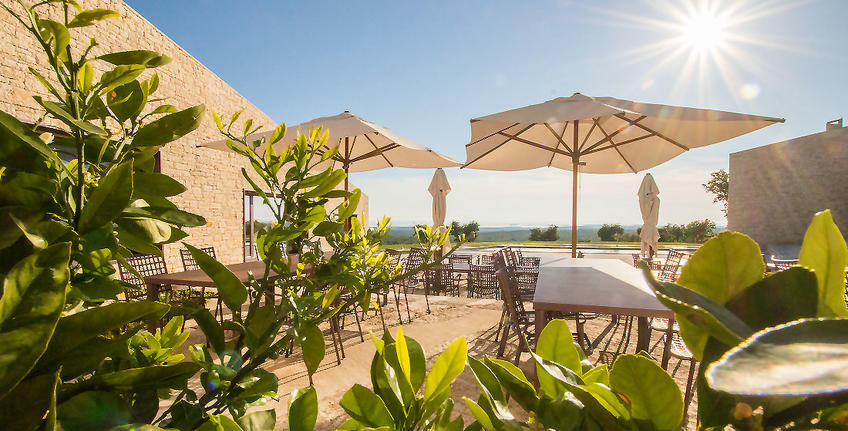 Histria Aromatica [6]