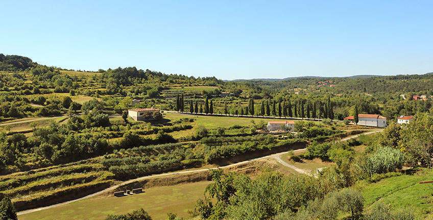 Scoprite la magia dell'Istria durante un soggiorno di quattro giorni a Bale [6]