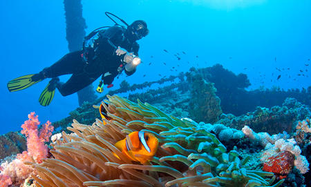 Diving Diving