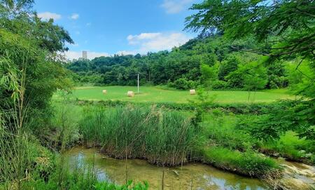 The Mirna River The Mirna River