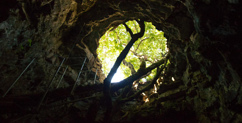 Histria Aromatica [10]