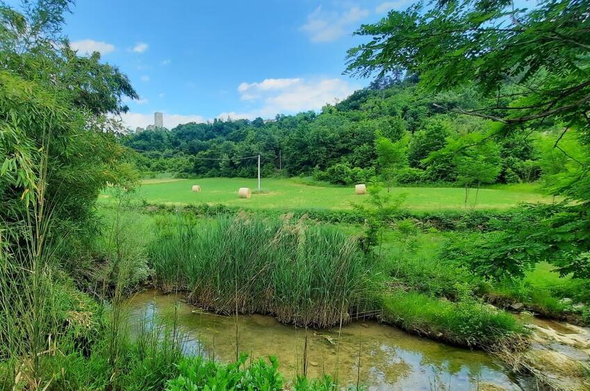 Drei istrische Flüsse [2]