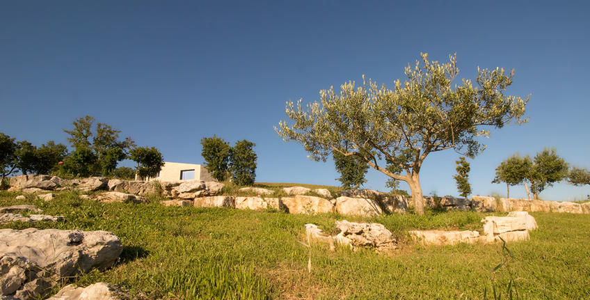 Histria Aromatica [13]