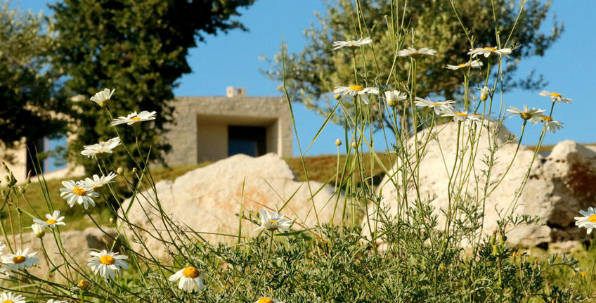 Histria Aromatica [4]