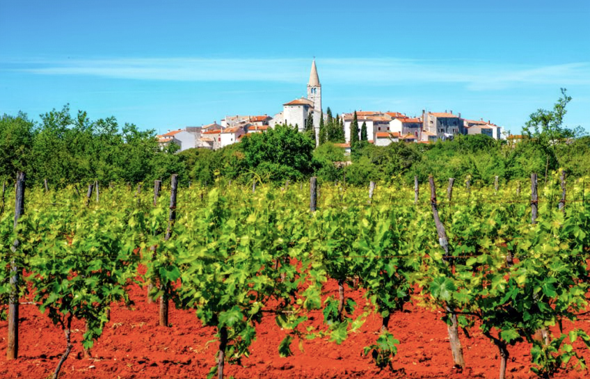 Bale, nella regione croata dell'Istria, è un luogo da visitare nel 2023 per tutti gli amanti della natura e della gastronomia. [1]
