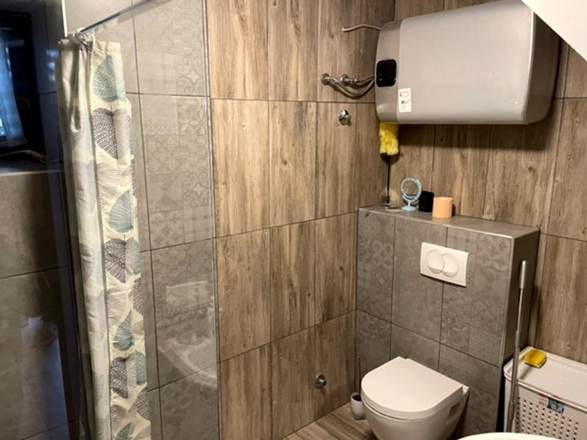 Casa Avramović [4]