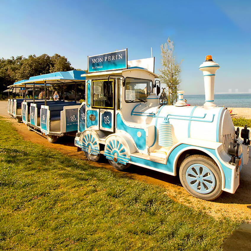 Transporte gratuito hasta la playa y el parque Paleo