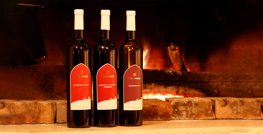 Jednodnevni izleti po Istri [2]