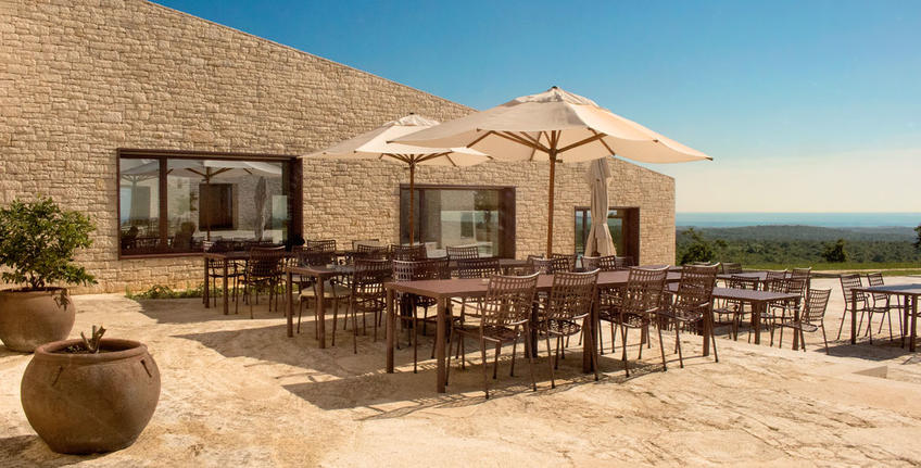 Histria Aromatica [19]