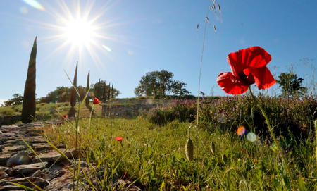 Histria Aromatica Histria Aromatica