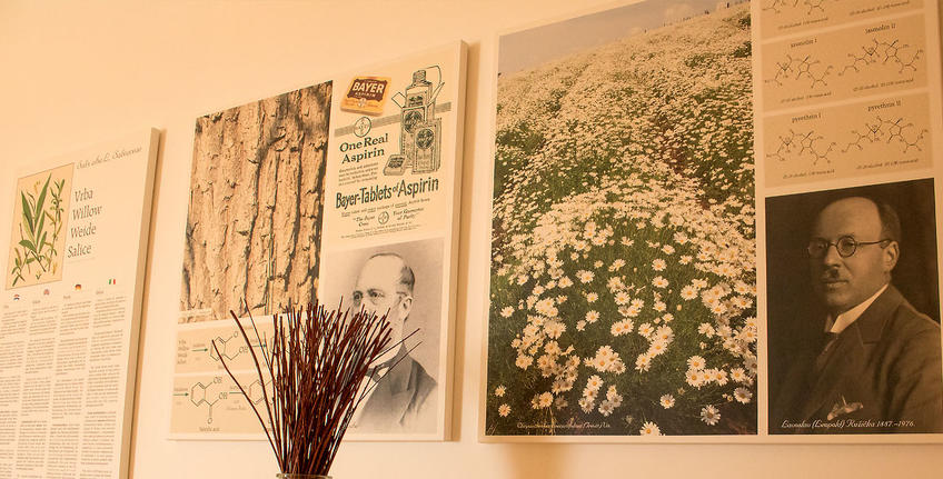 Histria Aromatica [22]