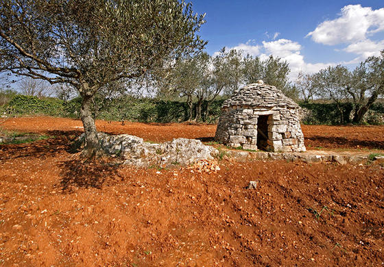 Bale's surroundings are paradise on Earth for all connoisseurs and lovers of olive oil