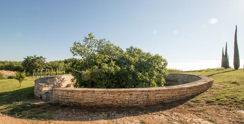 Histria Aromatica [8]