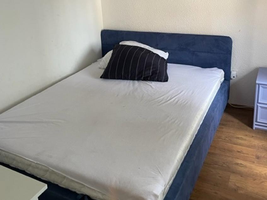 Casa Avramović [7]