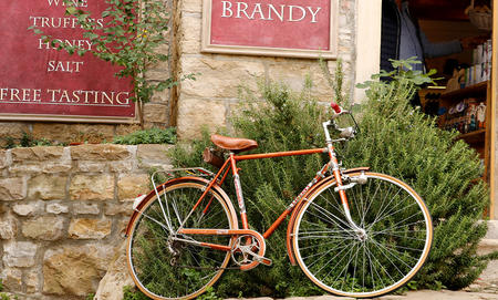 Day tours in Istria Day tours in Istria