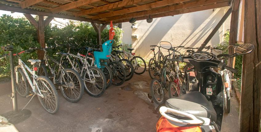 Bike rental in Bale, e-bike, MTB and city bike [2]