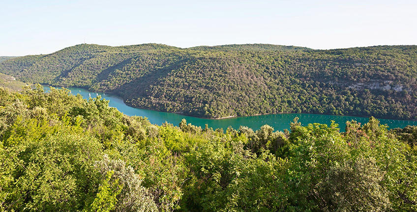 Limski zaljev [1]