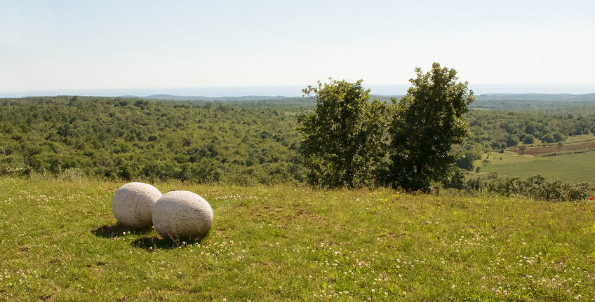 Histria Aromatica [14]